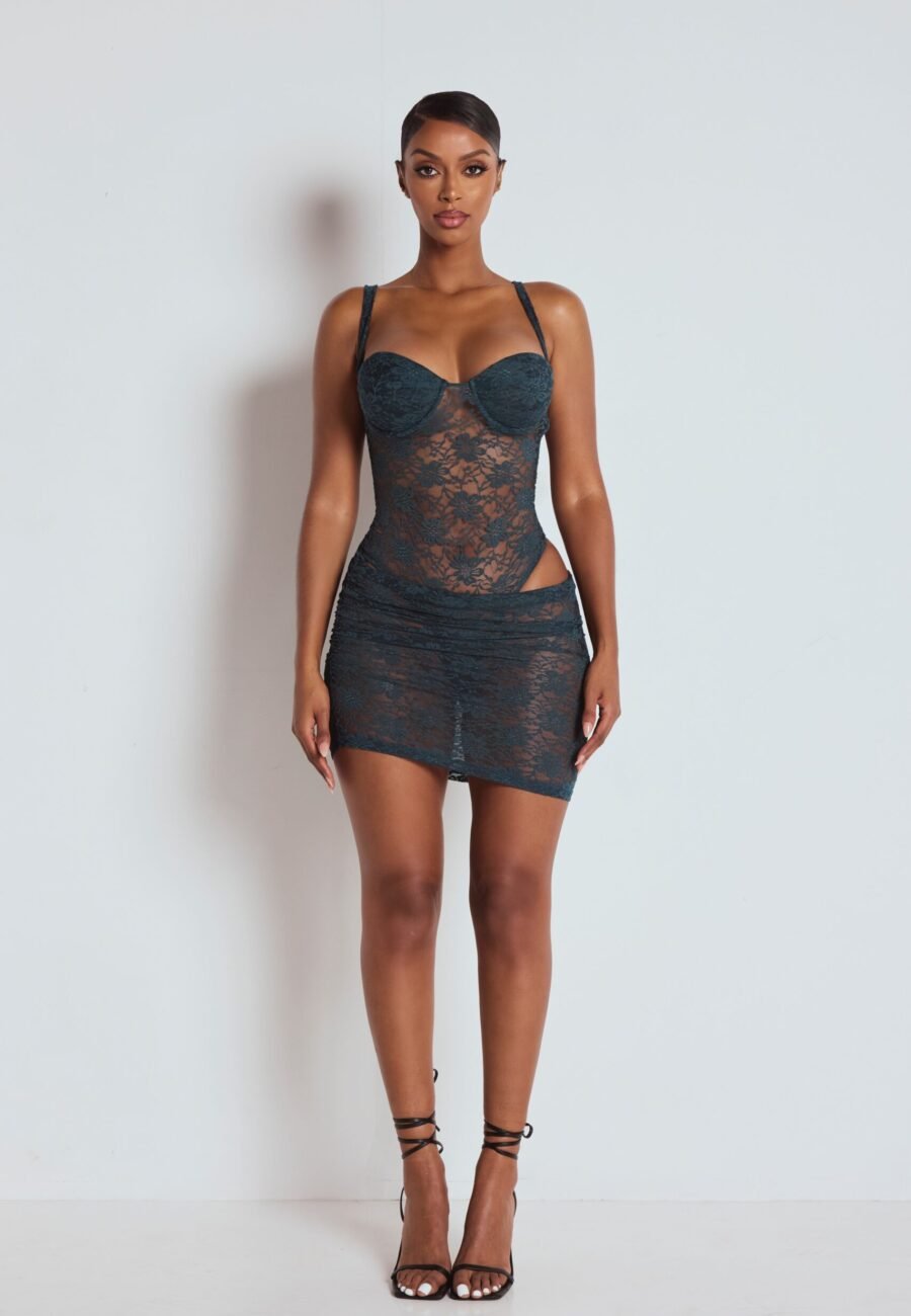The Iness Lace Mini Dress